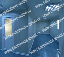 container birou Caras-Severin